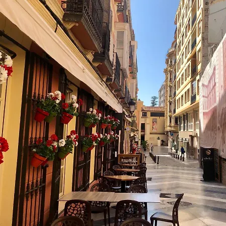 Centro Calle Beatas 公寓 *